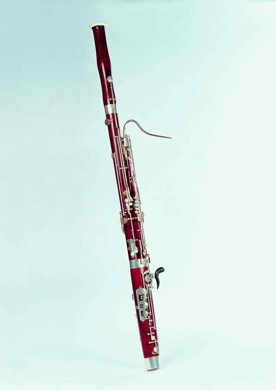 Musical Instrument - ImageDJ ></a>
<script language=JavaScript> 
  var txt = 