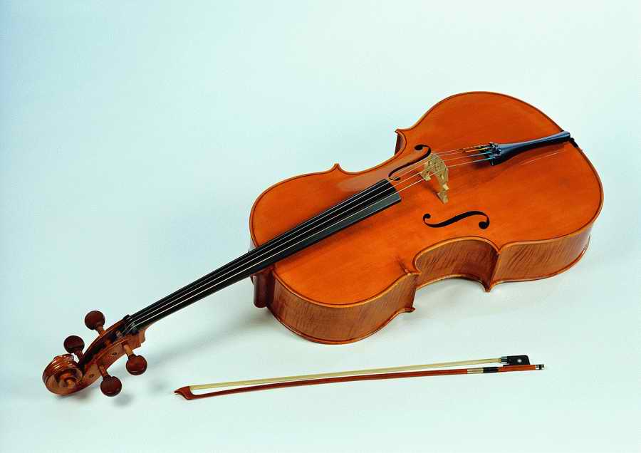 Musical Instrument - ImageDJ ></a>
<script language=JavaScript> 
  var txt = 