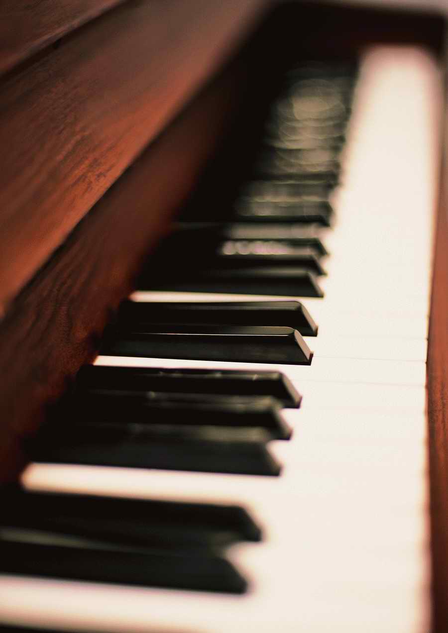 Musical Instrument - ImageDJ ></a>
<script language=JavaScript> 
  var txt = 