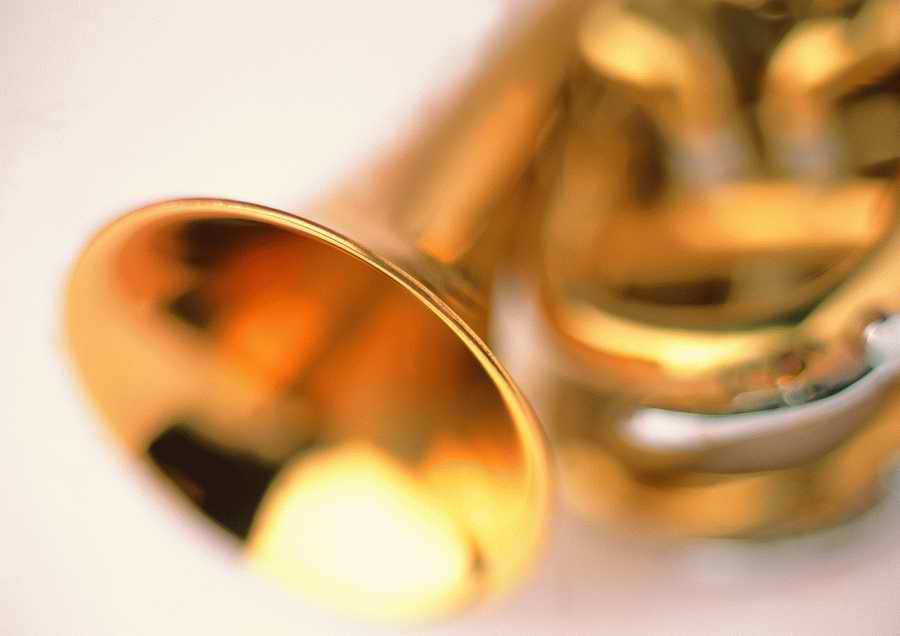 Musical Instrument - ImageDJ ></a>
<script language=JavaScript> 
  var txt = 