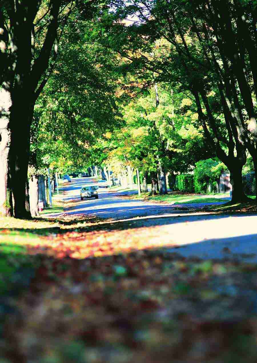 Roadways and Bridges - ImageDJ ></a>
<script language=JavaScript> 
  var txt = 