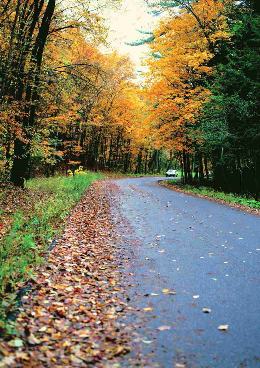 Roadways and Bridges - ImageDJ ></a>
<script language=JavaScript> 
  var txt = 