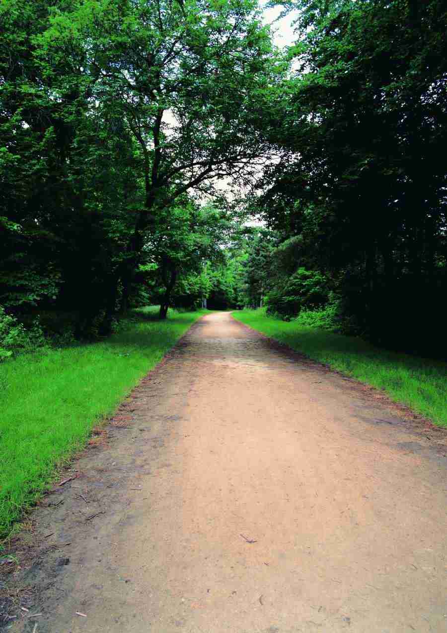 Roadways and Bridges - ImageDJ ></a>
<script language=JavaScript> 
  var txt = 