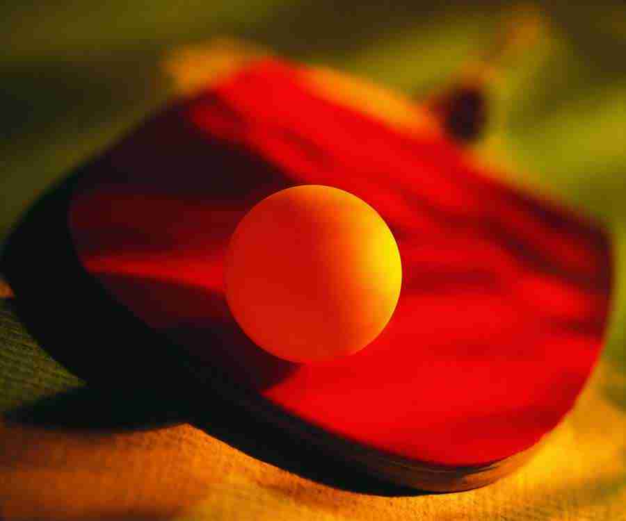 Sporting Goods - ImageDJ ></a>
<script language=JavaScript> 
  var txt = 