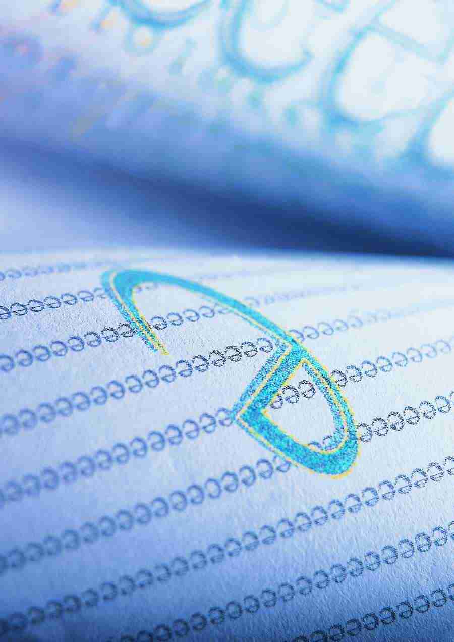 Todays Communication - ImageDJ ></a>
<script language=JavaScript> 
  var txt = 