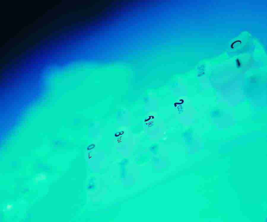 Todays Communication - ImageDJ ></a>
<script language=JavaScript> 
  var txt = 