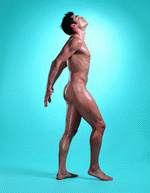 ImageDJ: The Male Figure 