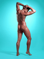 ImageDJ: The Male Figure 