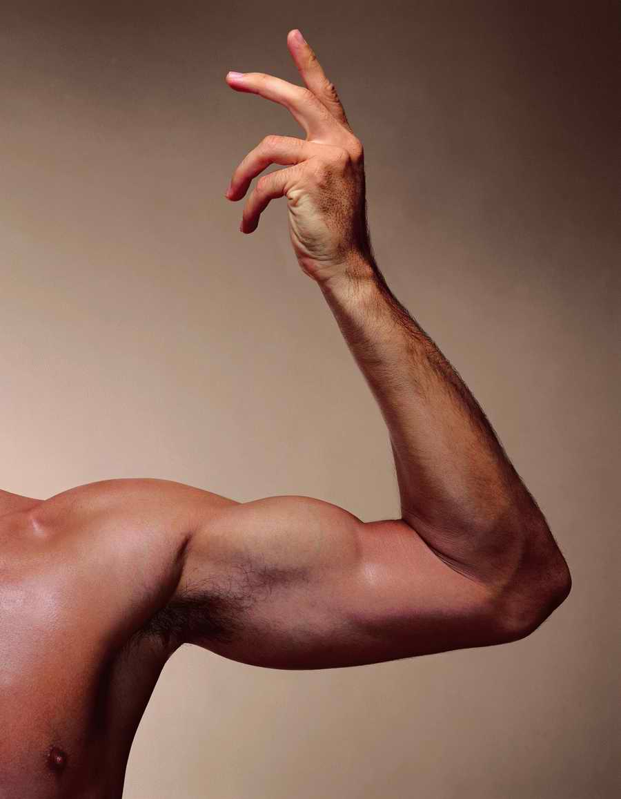 The Male Physique - ImageDJ ></a>
<script language=JavaScript> 
  var txt = 
