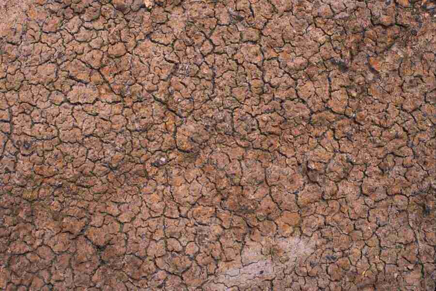 Arizona Desert - Imagefarm ></a>
<script language=JavaScript> 
  var txt = 
