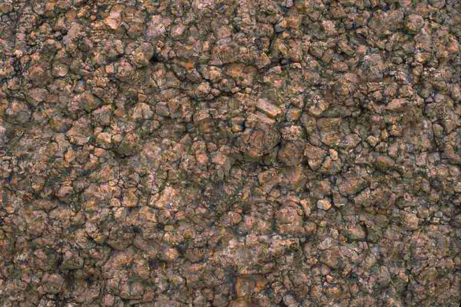 Arizona Desert - Imagefarm ></a>
<script language=JavaScript> 
  var txt = 