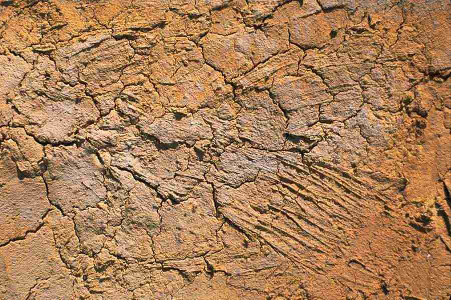 Arizona Desert - Imagefarm ></a>
<script language=JavaScript> 
  var txt = 