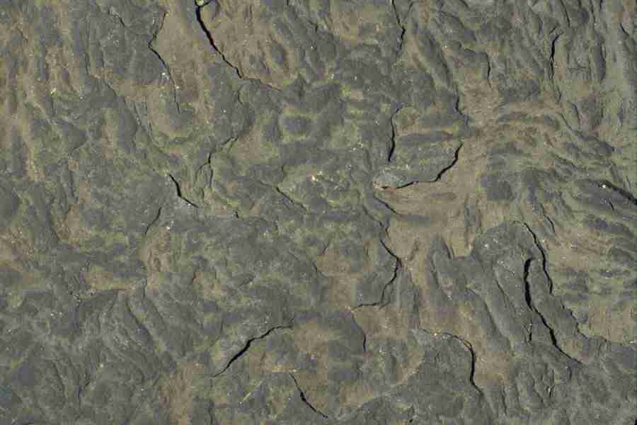 Arizona Desert - Imagefarm ></a>
<script language=JavaScript> 
  var txt = 