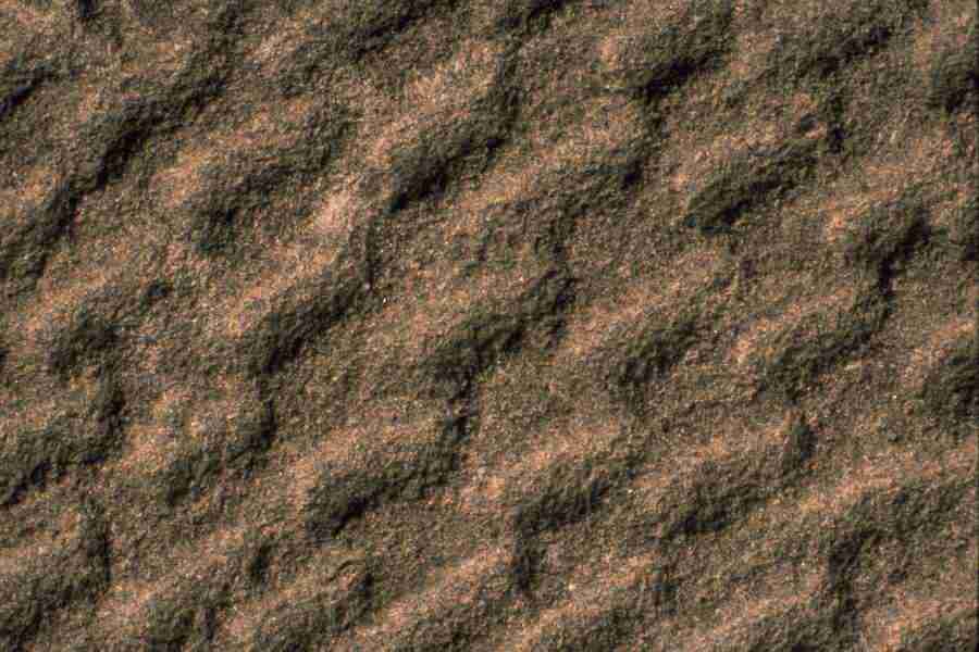 Arizona Desert - Imagefarm ></a>
<script language=JavaScript> 
  var txt = 