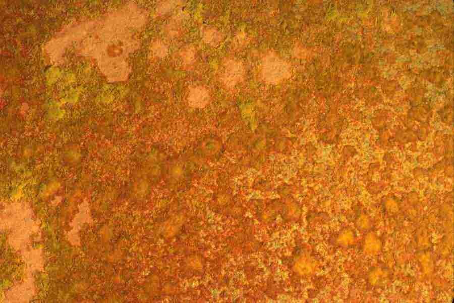 Arizona Desert - Imagefarm ></a>
<script language=JavaScript> 
  var txt = 