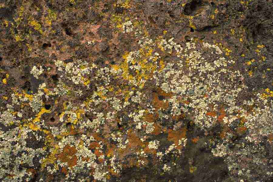 Arizona Desert - Imagefarm ></a>
<script language=JavaScript> 
  var txt = 
