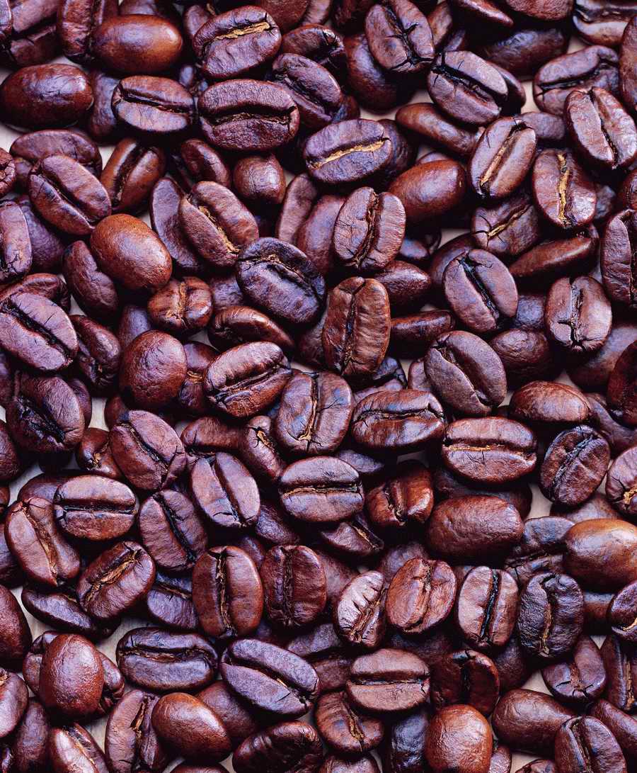 Life Style - ImageMore 1000S ></a>
<script language=JavaScript> 
  var txt = 