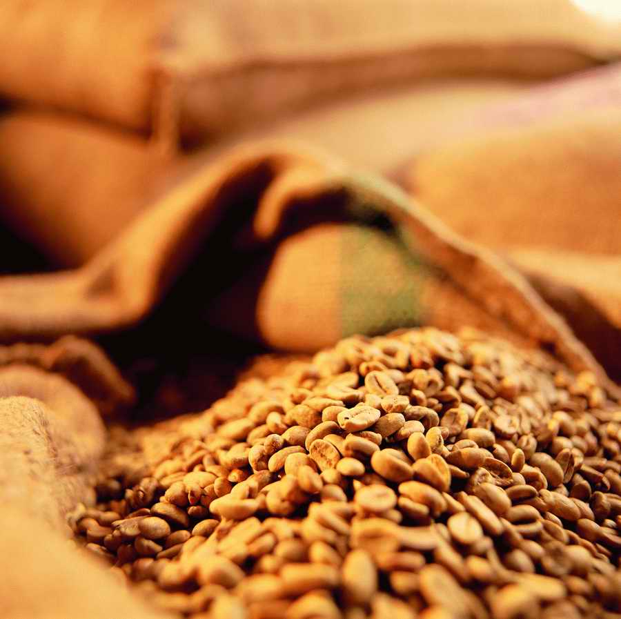 Life Style - ImageMore 1000S ></a>
<script language=JavaScript> 
  var txt = 