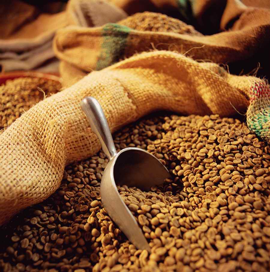 Life Style - ImageMore 1000S ></a>
<script language=JavaScript> 
  var txt = 