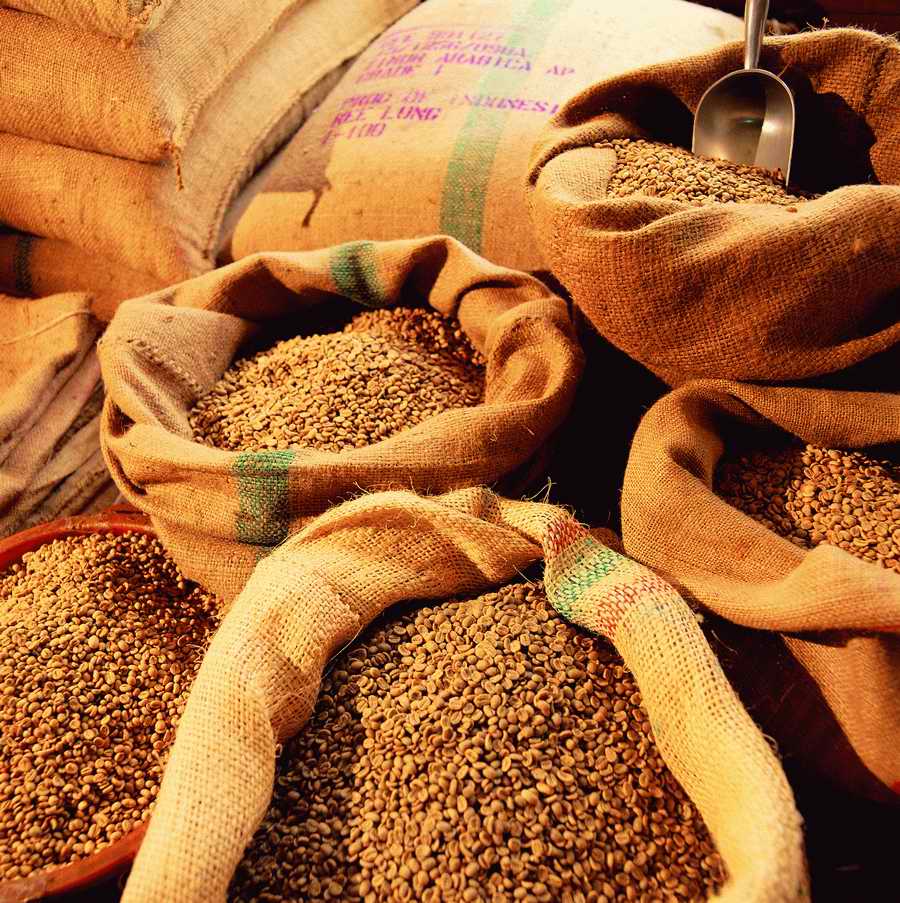 Life Style - ImageMore 1000S ></a>
<script language=JavaScript> 
  var txt = 