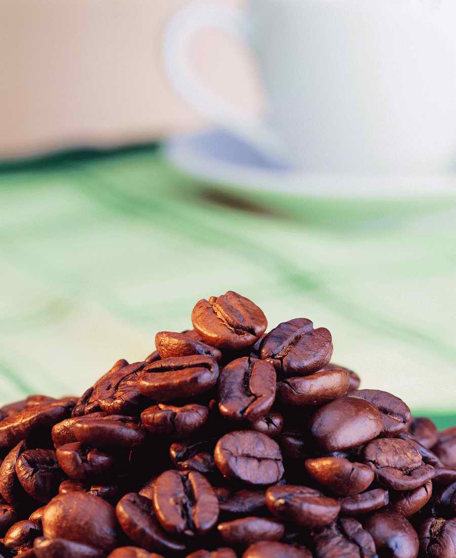 Life Style - ImageMore 1000S ></a>
<script language=JavaScript> 
  var txt = 