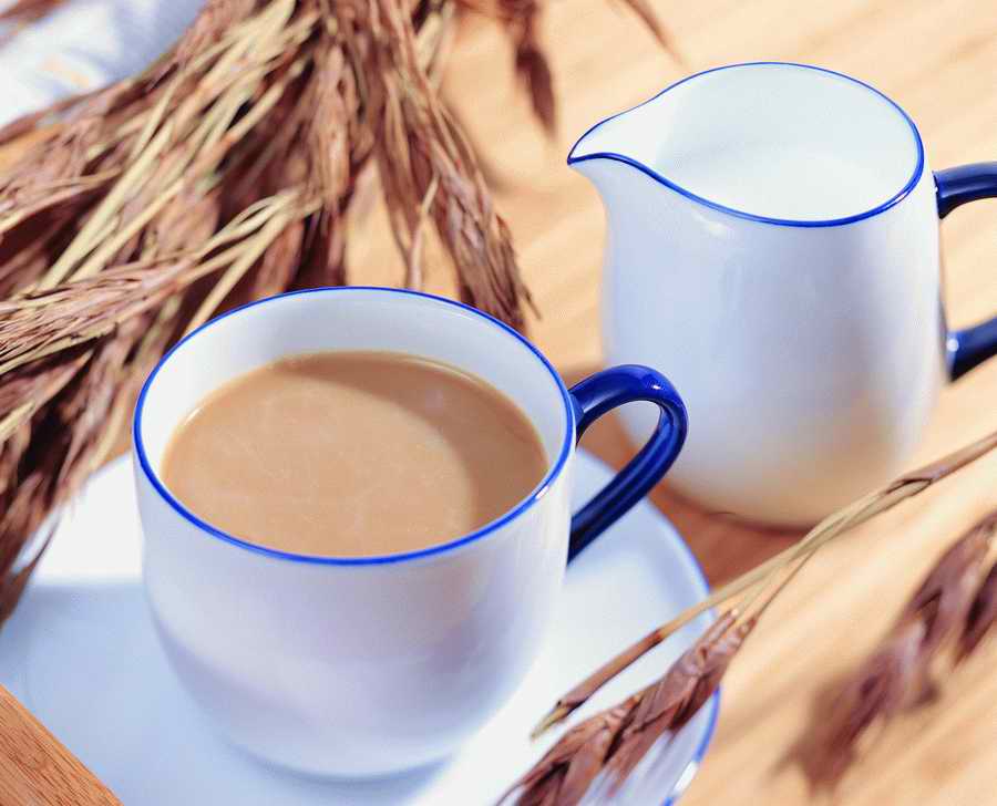 Life Style - ImageMore 1000S ></a>
<script language=JavaScript> 
  var txt = 