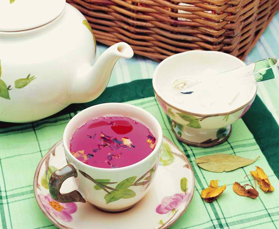 Life Style - ImageMore 1000S ></a>
<script language=JavaScript> 
  var txt = 