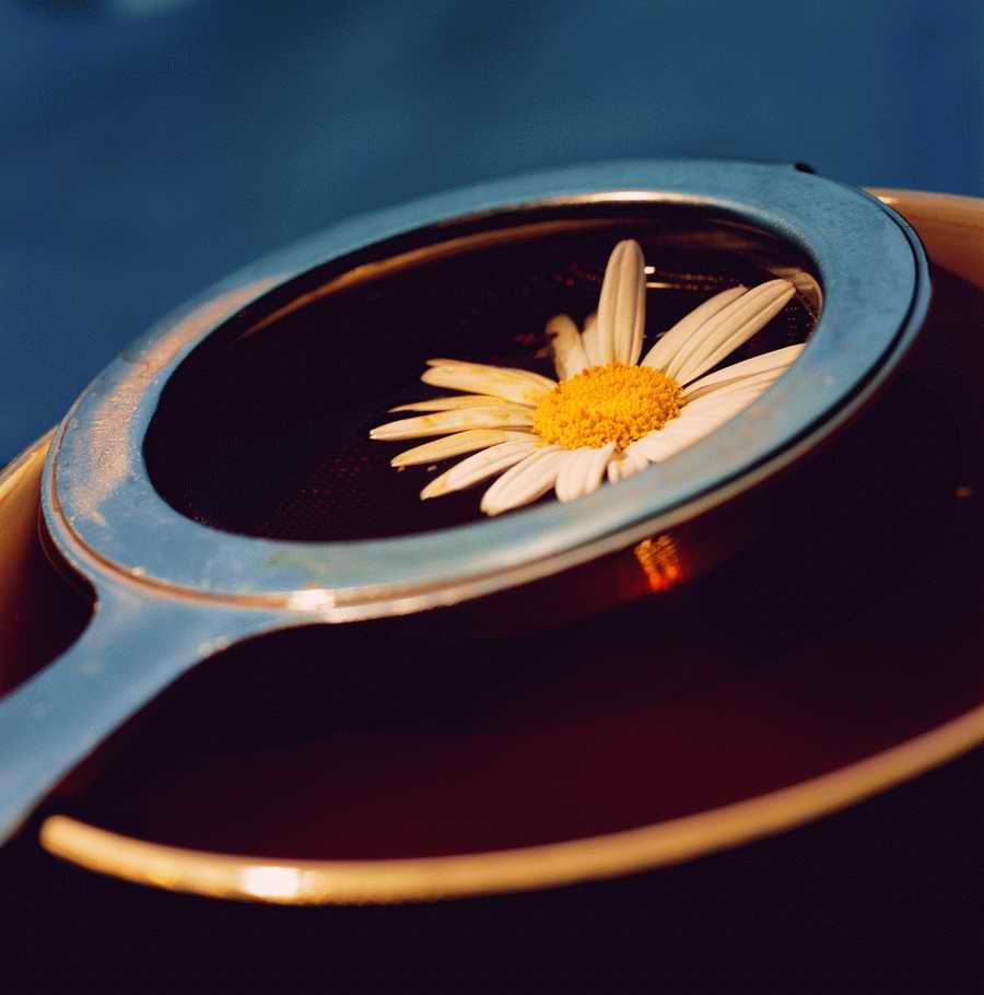 Life Style - ImageMore 1000S ></a>
<script language=JavaScript> 
  var txt = 