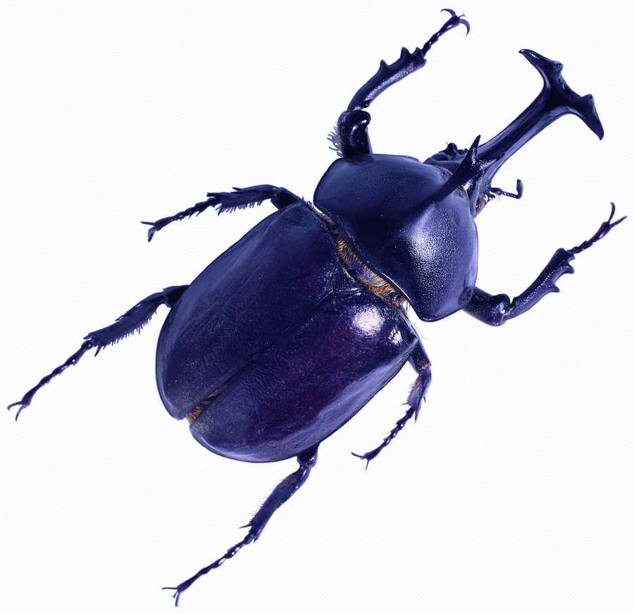 Life Style - ImageMore 1000S ></a>
<script language=JavaScript> 
  var txt = 