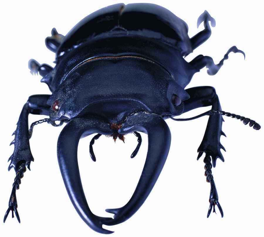 Life Style - ImageMore 1000S ></a>
<script language=JavaScript> 
  var txt = 