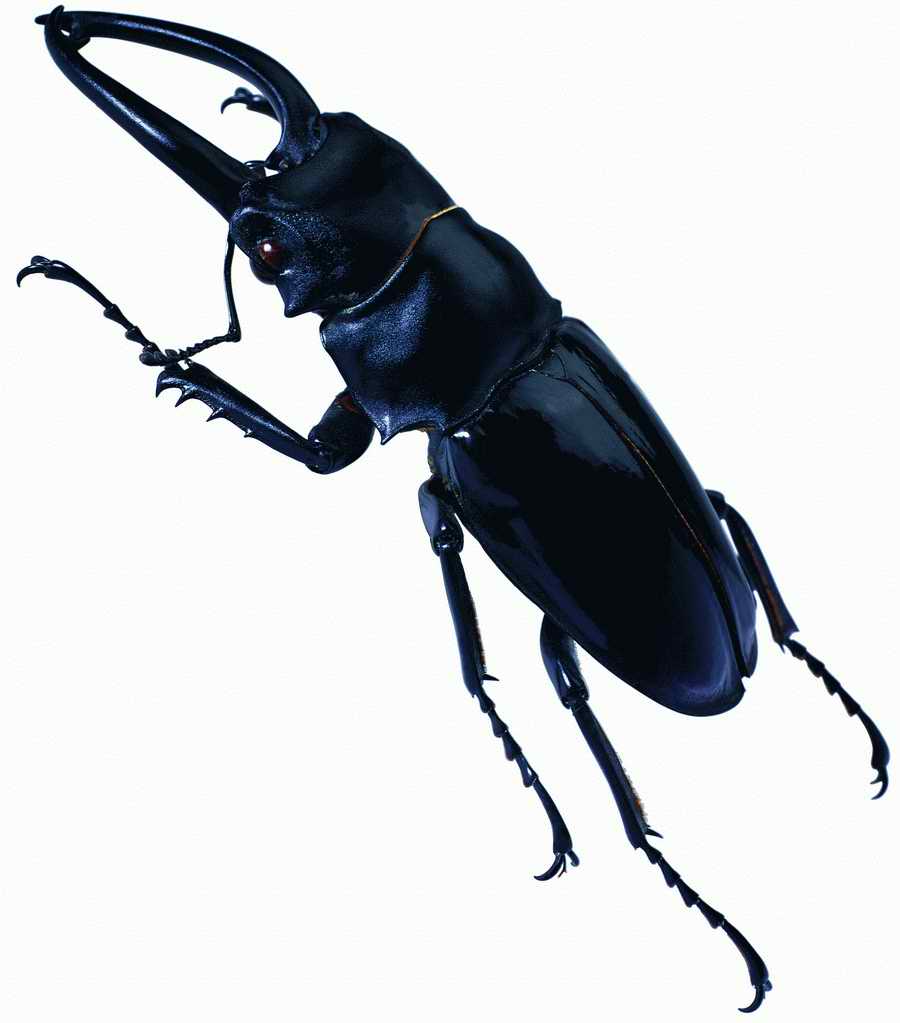 Life Style - ImageMore 1000S ></a>
<script language=JavaScript> 
  var txt = 