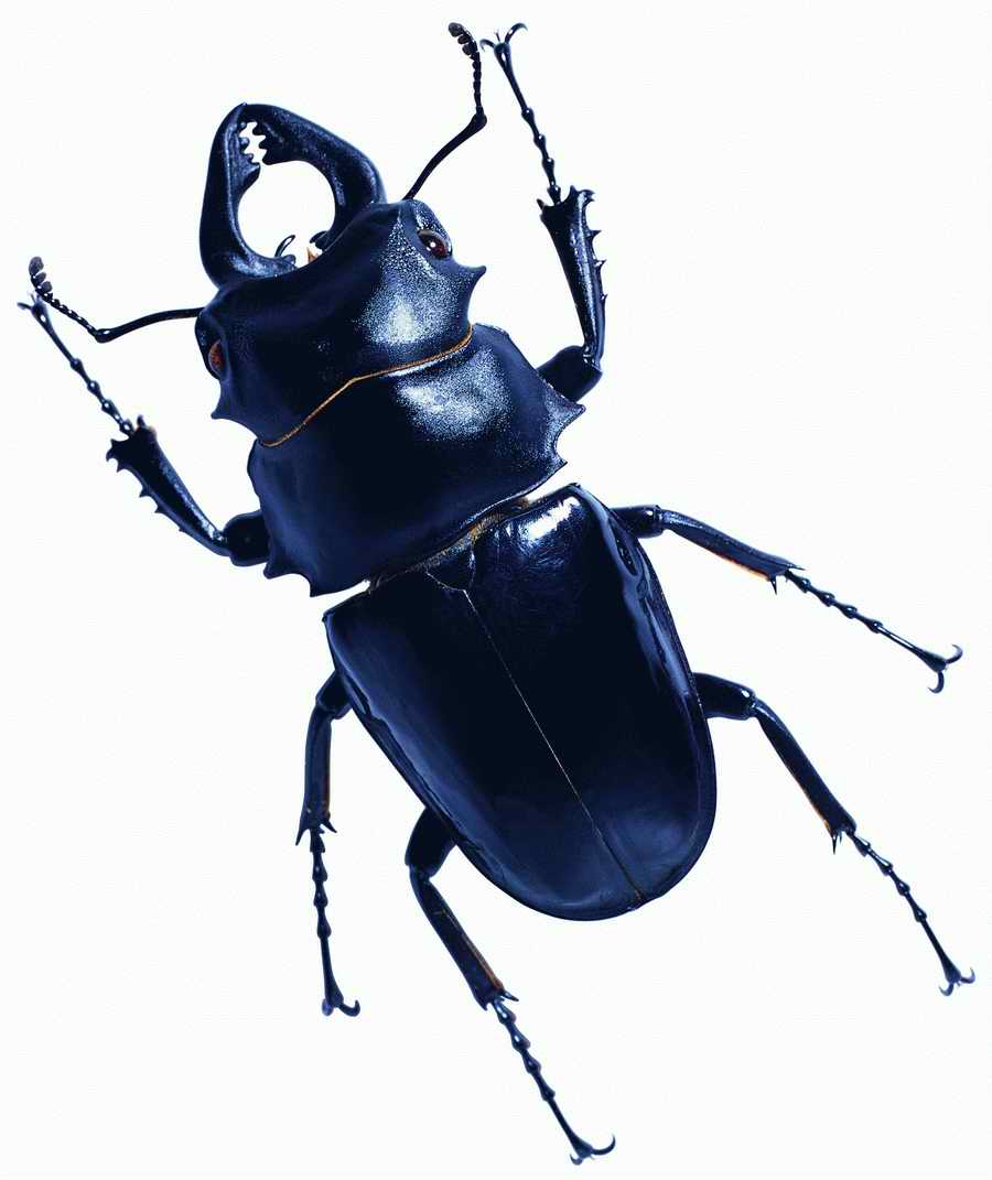 Life Style - ImageMore 1000S ></a>
<script language=JavaScript> 
  var txt = 