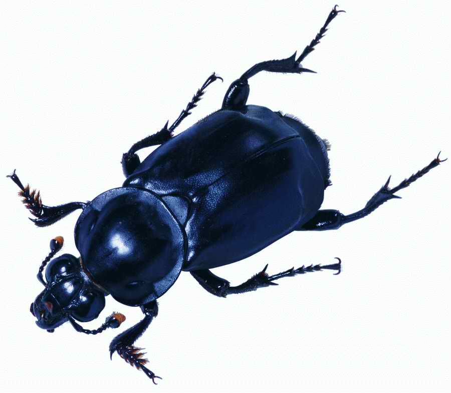 Life Style - ImageMore 1000S ></a>
<script language=JavaScript> 
  var txt = 