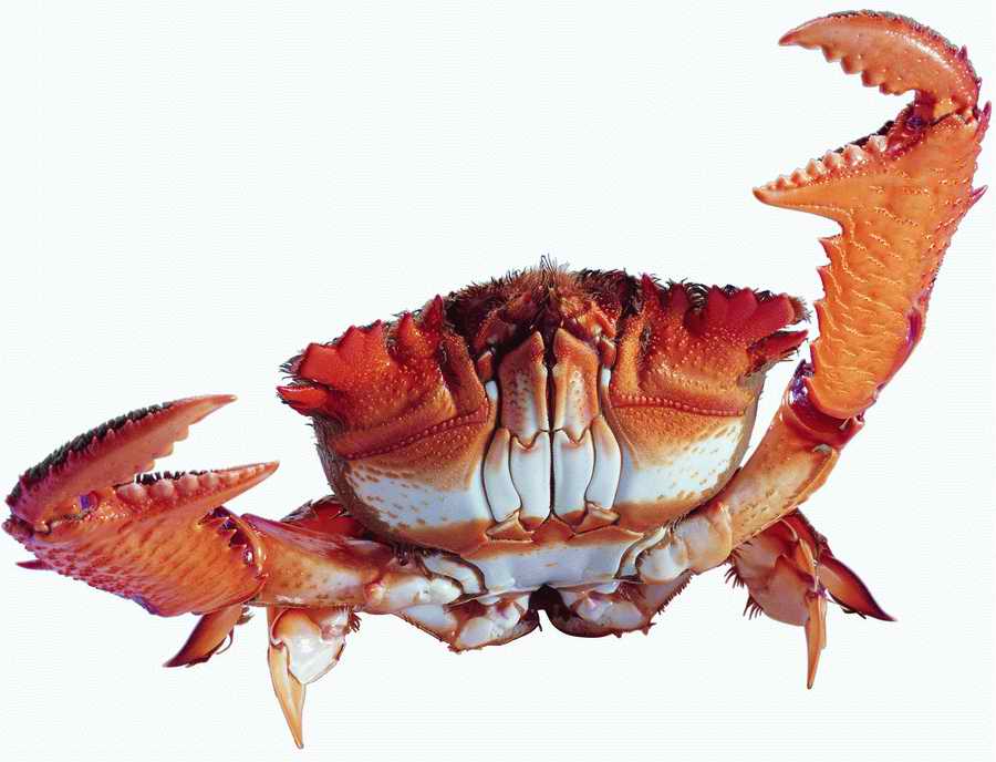 Life Style - ImageMore 1000S ></a>
<script language=JavaScript> 
  var txt = 