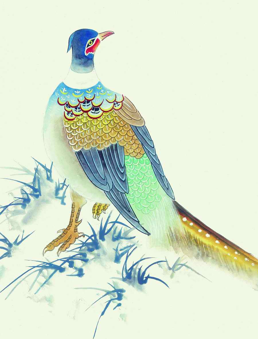 Fortune Birds - Imagemore ></a>
<script language=JavaScript> 
  var txt = 