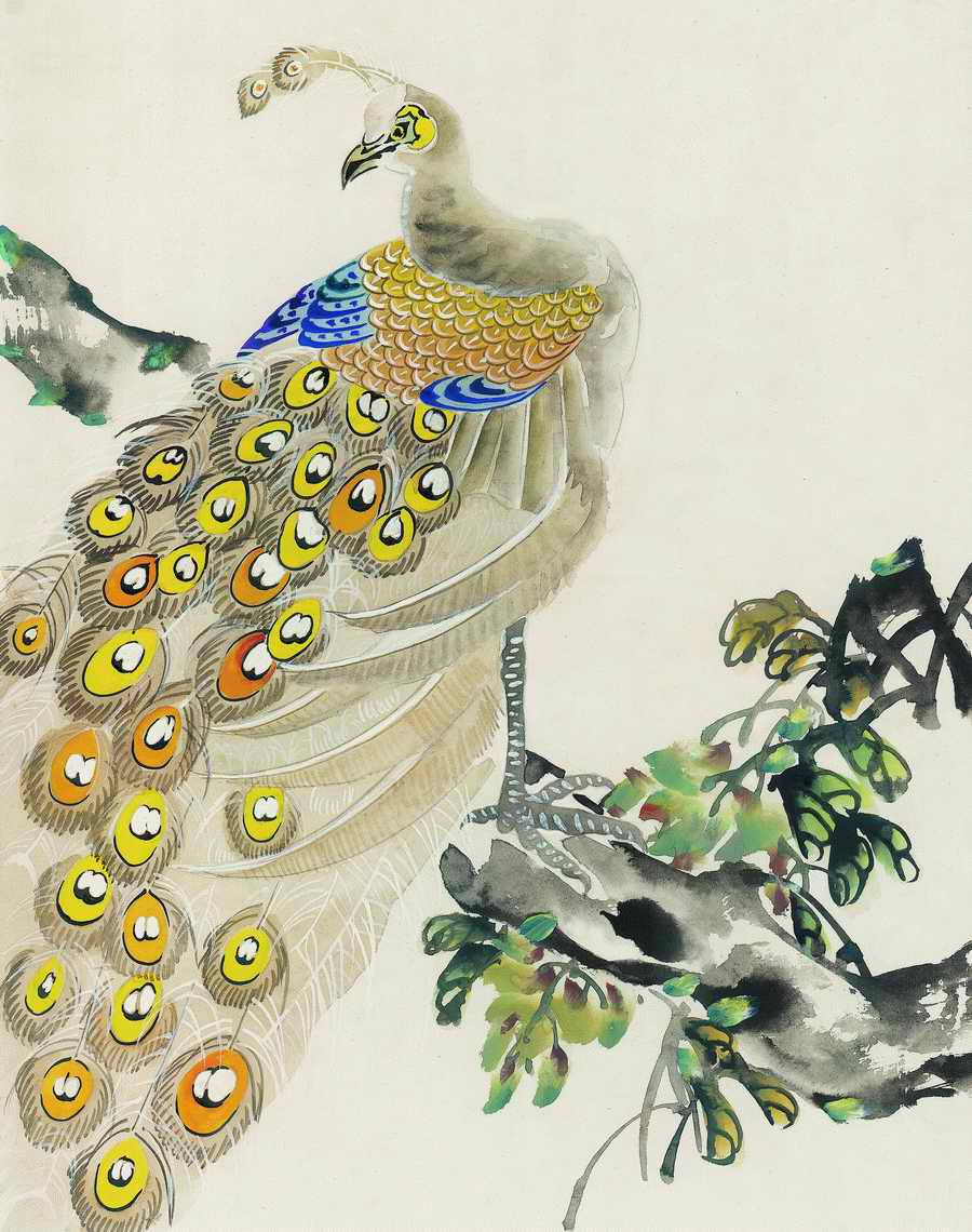 Fortune Birds - Imagemore ></a>
<script language=JavaScript> 
  var txt = 