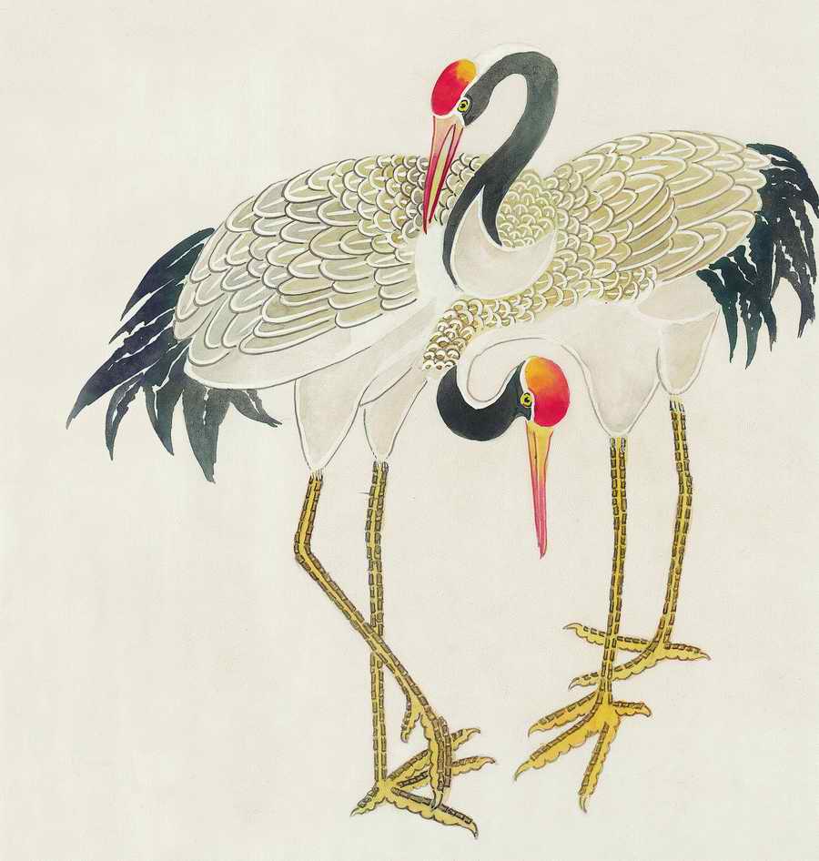Fortune Birds - Imagemore ></a>
<script language=JavaScript> 
  var txt = 