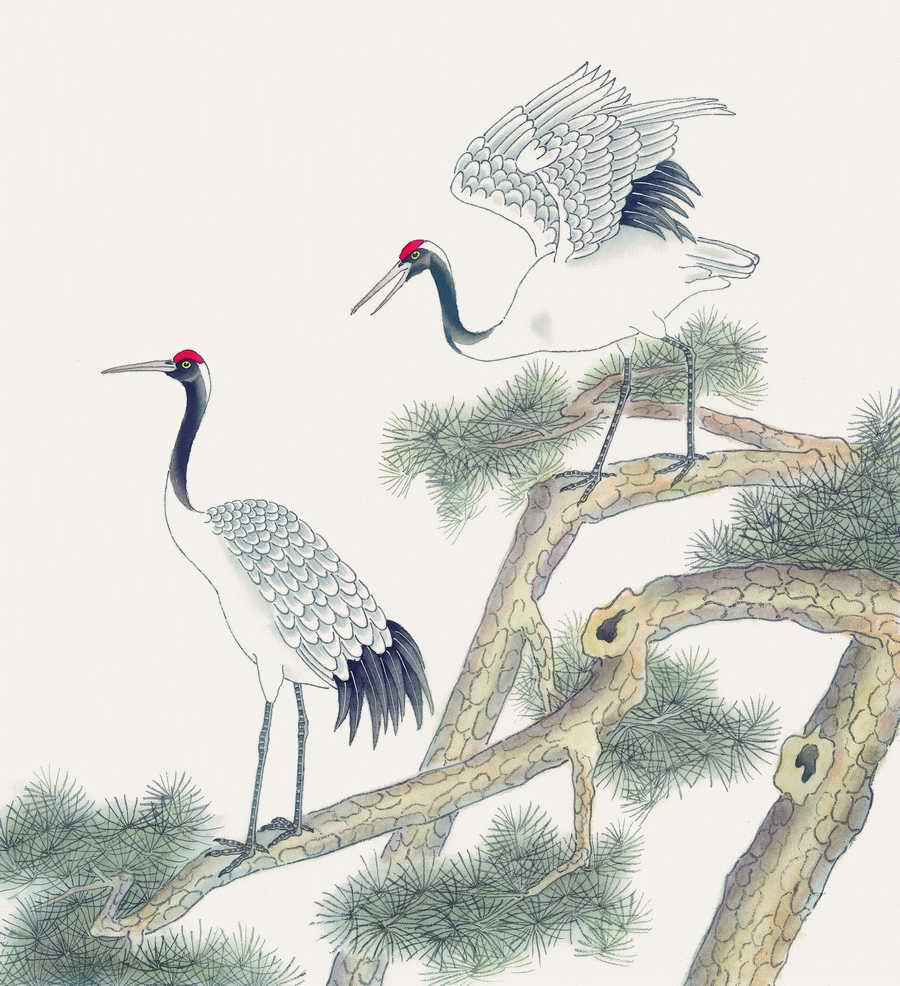 Fortune Birds - Imagemore ></a>
<script language=JavaScript> 
  var txt = 