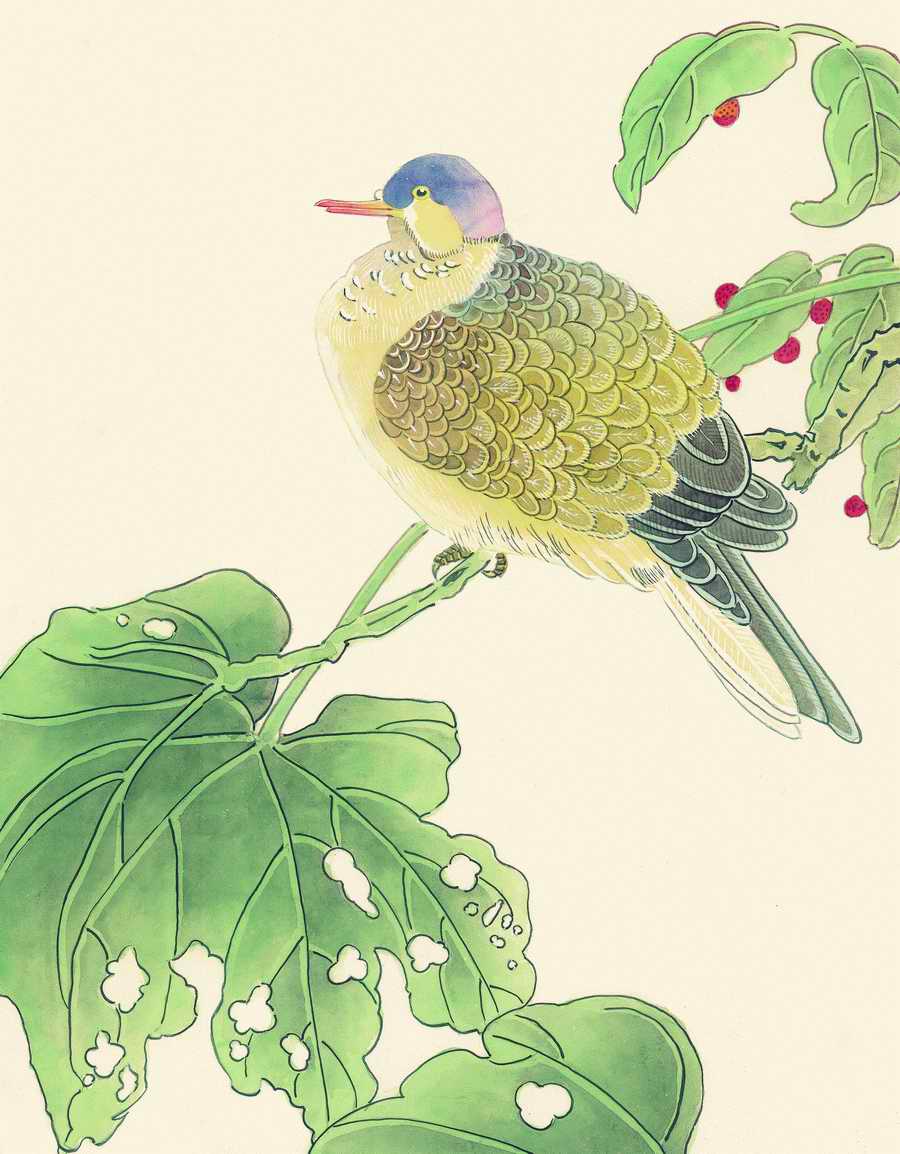 Fortune Birds - Imagemore ></a>
<script language=JavaScript> 
  var txt = 