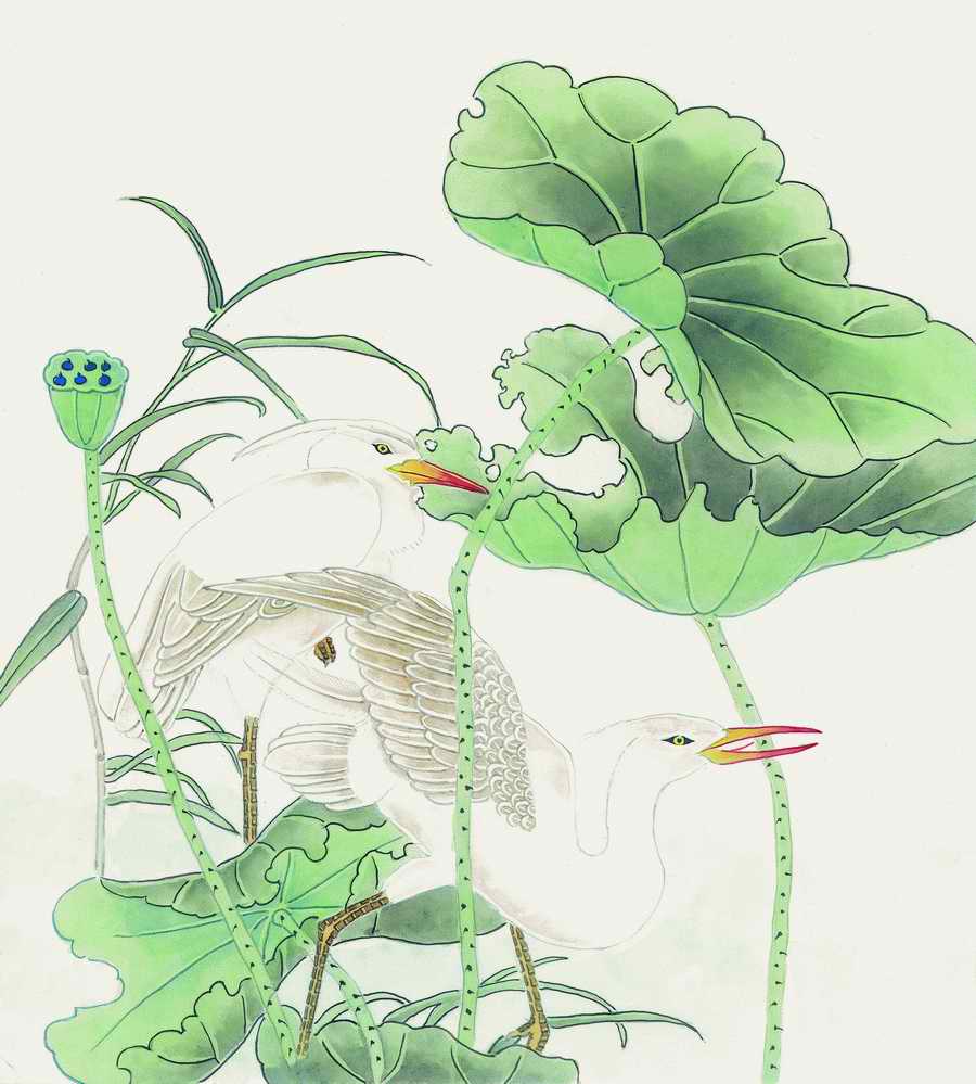 Fortune Birds - Imagemore ></a>
<script language=JavaScript> 
  var txt = 