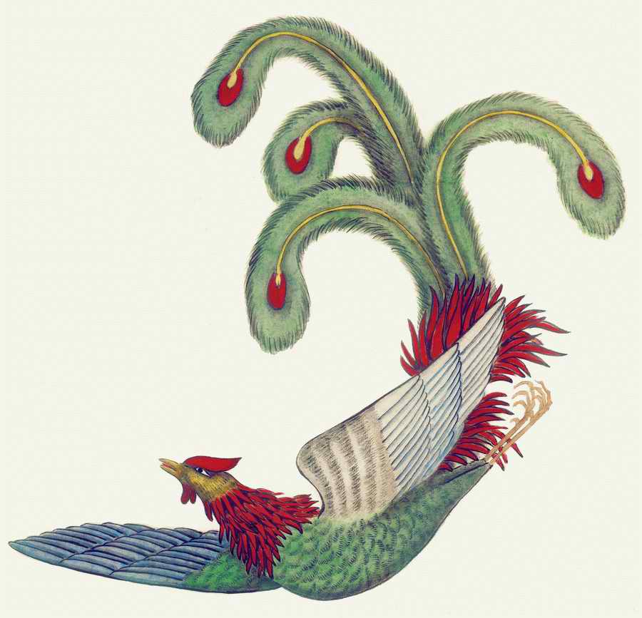 Fortune Birds - Imagemore ></a>
<script language=JavaScript> 
  var txt = 