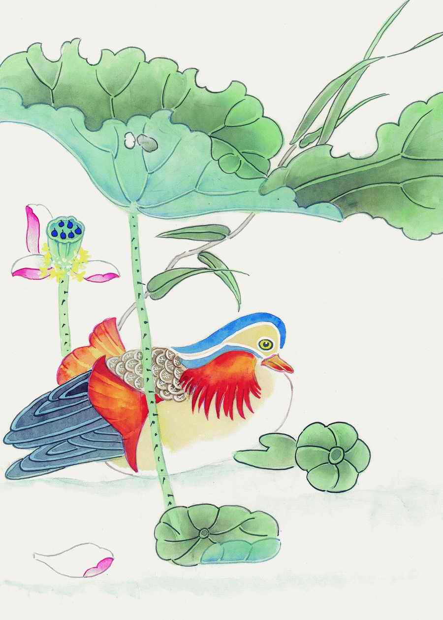 Fortune Birds - Imagemore ></a>
<script language=JavaScript> 
  var txt = 