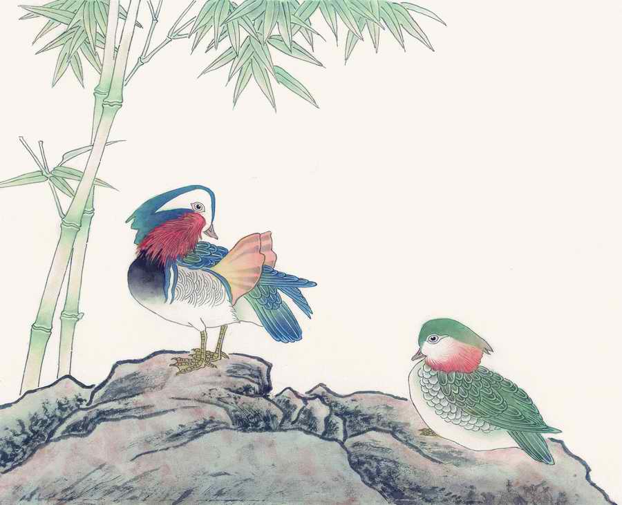 Fortune Birds - Imagemore ></a>
<script language=JavaScript> 
  var txt = 