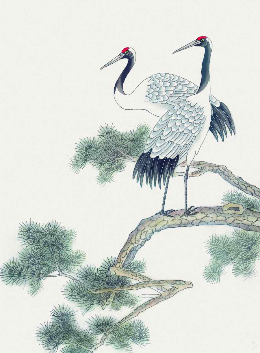 Fortune Birds - Imagemore ></a>
<script language=JavaScript> 
  var txt = 