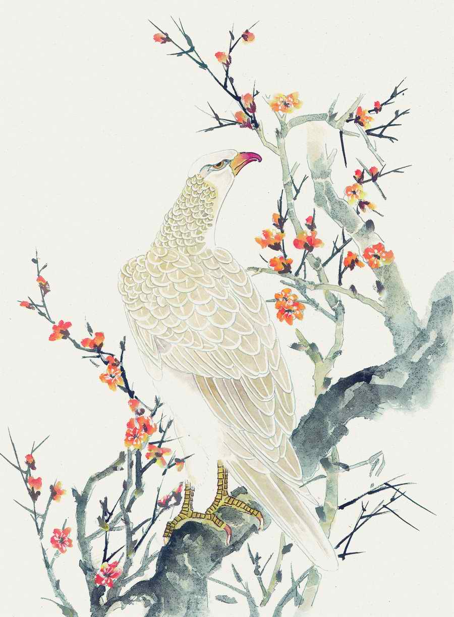Fortune Birds - Imagemore ></a>
<script language=JavaScript> 
  var txt = 