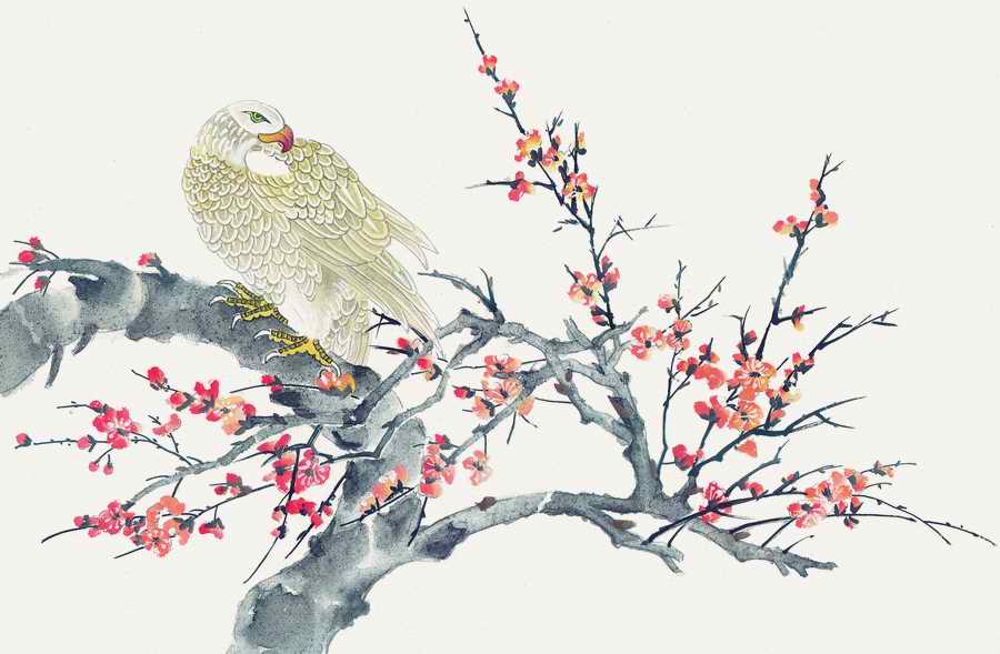 Fortune Birds - Imagemore ></a>
<script language=JavaScript> 
  var txt = 
