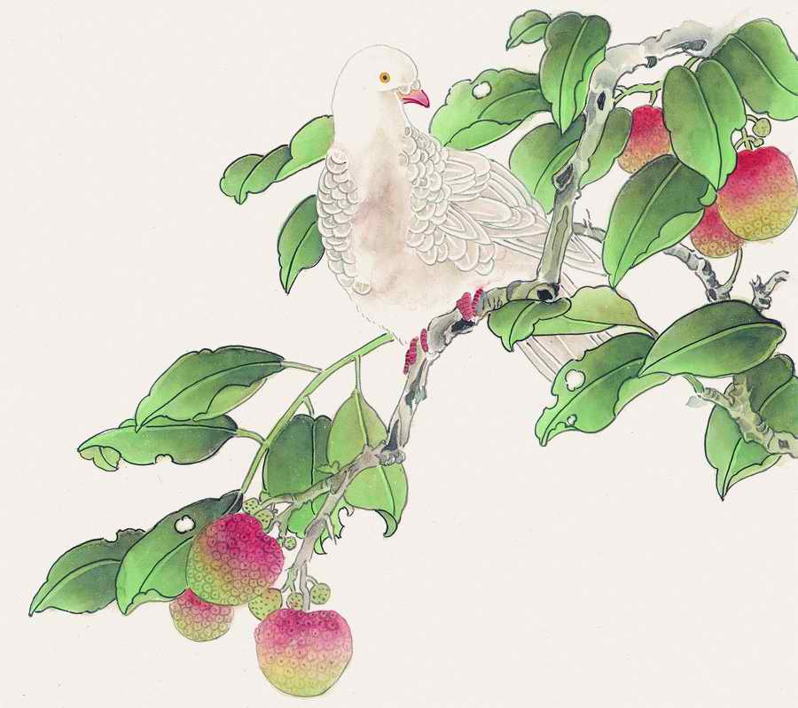 Fortune Birds - Imagemore ></a>
<script language=JavaScript> 
  var txt = 