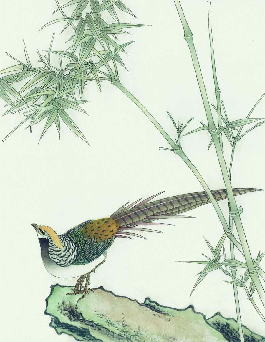 Fortune Birds - Imagemore ></a>
<script language=JavaScript> 
  var txt = 