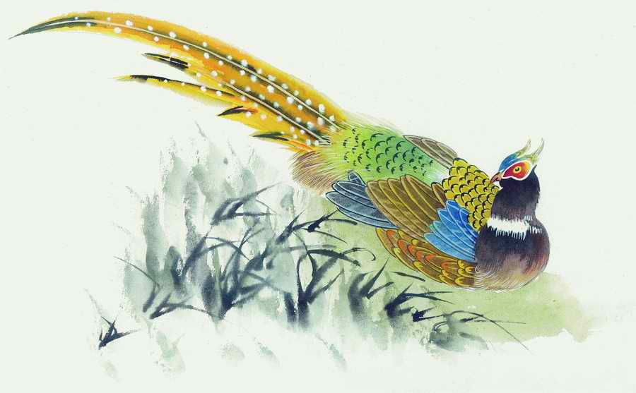 Fortune Birds - Imagemore ></a>
<script language=JavaScript> 
  var txt = 