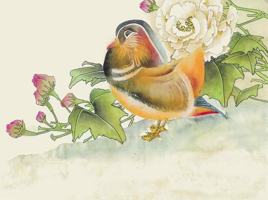 Fortune Birds - Imagemore ></a>
<script language=JavaScript> 
  var txt = 